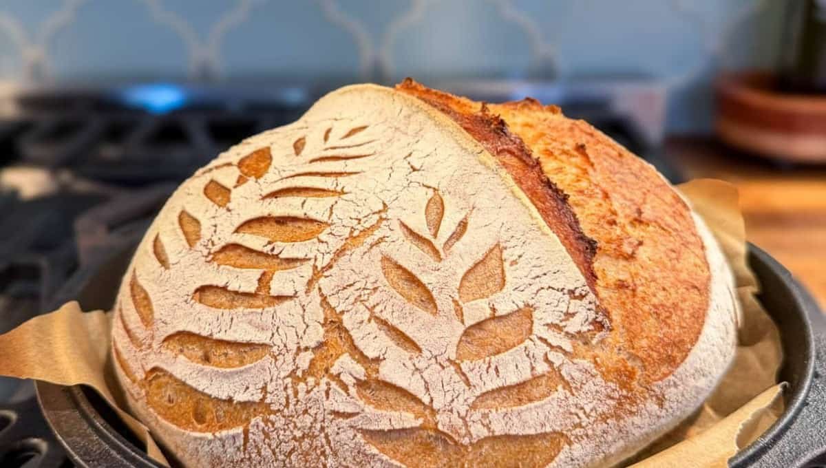 My Foolproof Beginner Sourdough Bread but No Fancy Gadgets Needed