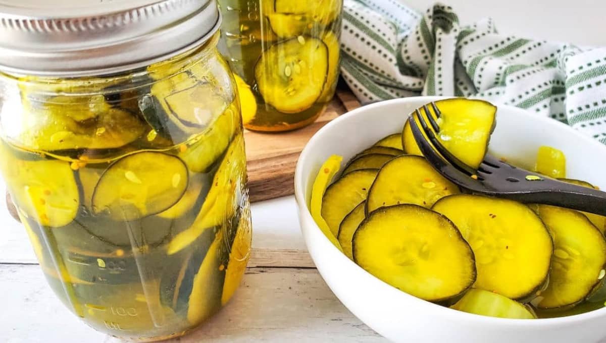 Easy Refrigerator Pickles No Canning! Crunchy in 24 Hours