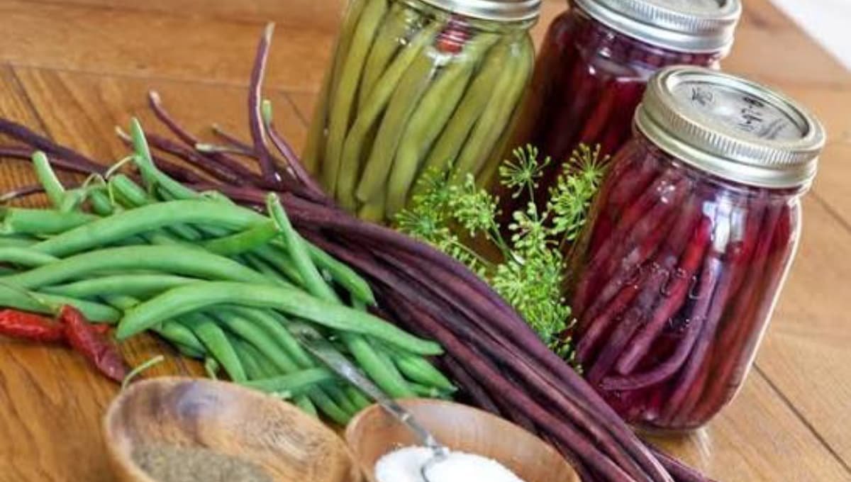 The Crunchiest Dilly Beans You’ll Ever Make and No Canning Needed!