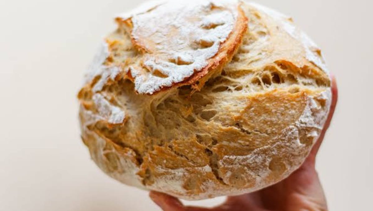 The Sourdough Mini Loaf Secret Nobody Tells Beginners