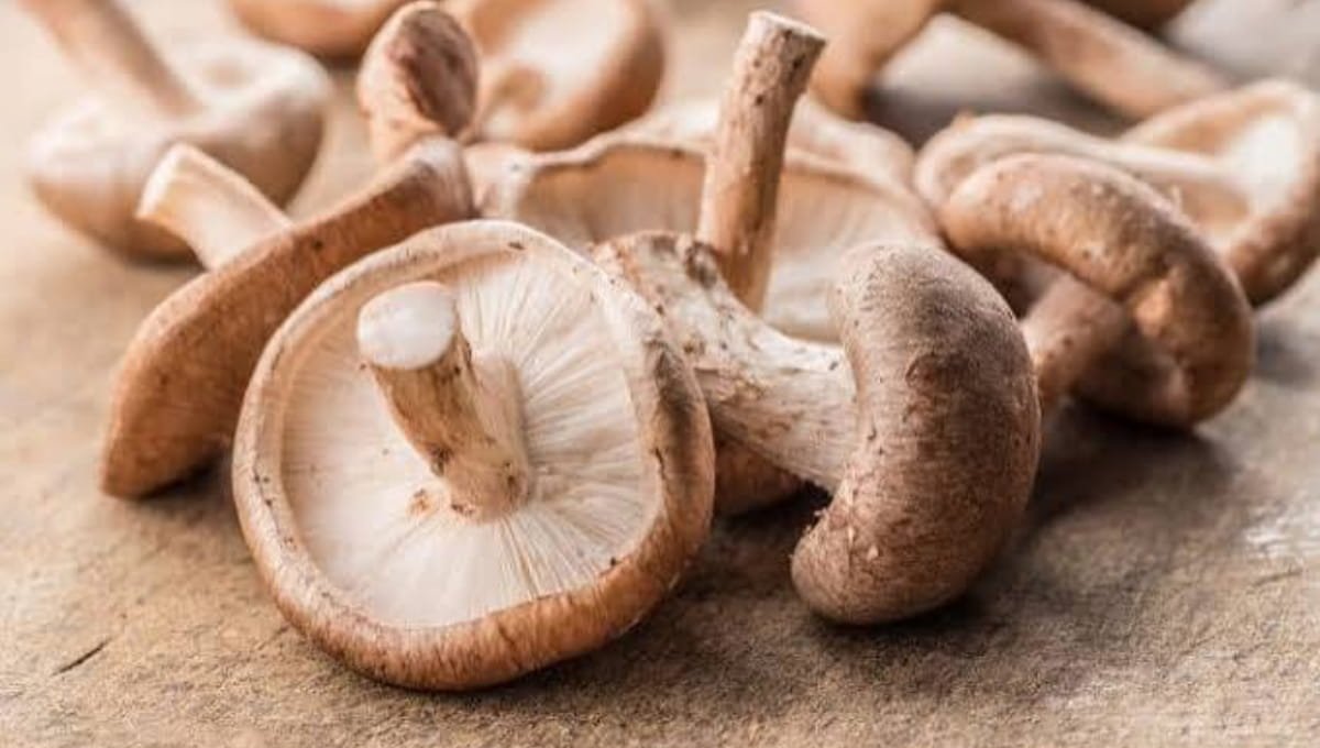 Why Your Shiitake Mushrooms Never Get Crispy